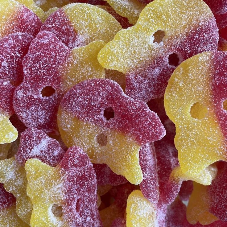 Adelaide’s Ultimate Sweet Tooth Destination